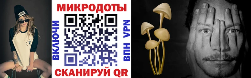 магазин продажи наркотиков  Омутнинск  Псилоцибиновые грибы Psilocybe 